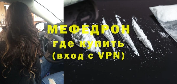 индика Богданович