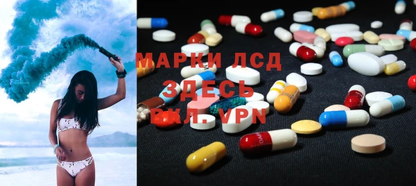 индика Богданович