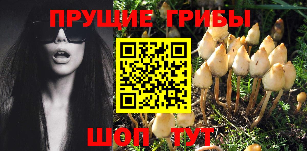 Псилоцибиновые грибы Magic Shrooms Верхний Уфалей